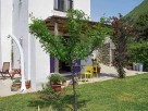 1 Bedroom Homely Rural Apartment with Garden in Forio on the Island of Ischia, Italy